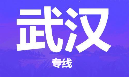 天津到武漢航空物流當(dāng)天件-天津到武漢機(jī)場空運(yùn)當(dāng)日達(dá)