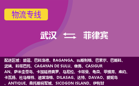 武漢到菲律賓物流專線全境/直達(dá)，武漢到菲律賓空運(yùn)（海運(yùn)）公司